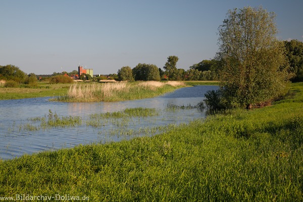 Elbau Bleckede Naturbilder Wasser Aulandschaft Elbwiesen Dorfblick Naturfotos