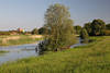 Bleckede Elbau Naturfoto Wasser Aulandschaft Elbdorf Wiesen Fernblick Bild