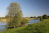 Elbau Bleckede Wasserufer Naturlandschaft Bild Wiesen Naturfoto Elbdorf Fernblick