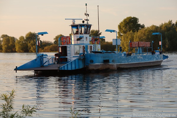 Elbfhre Flussschiff Foto in Wasser bei Abendlicht Autofhre