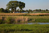 Fhrhafen Bleckede Elbufer Naturfoto Wasser Flussblick Elblandschaft Portbild
