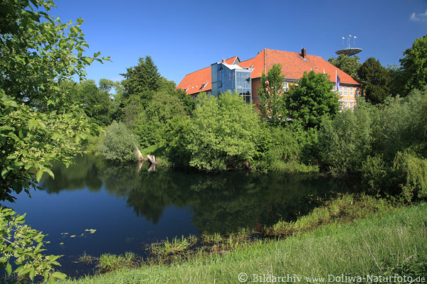 Schloss Bleckede Frhlingsgrne Wasserufer Naturidylle Aue Elblandschaft