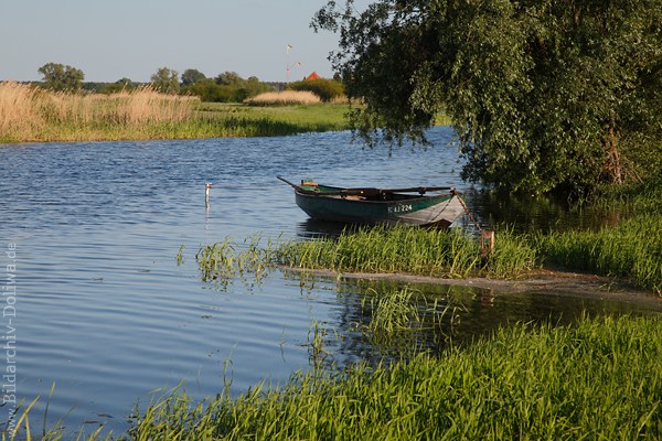 Ufer Boot in Wasser Schilf Flusslandschaft Naturfoto Elbe-Romantik in Abendlicht