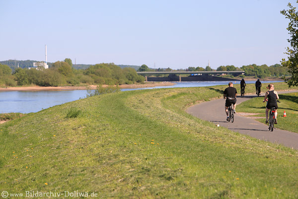 Deichradler Elbuferweg Stove Foto Radwandern in Flusslandschaft vor Elbbrcke