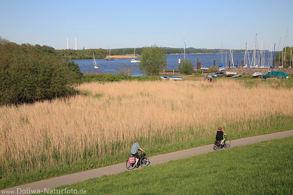 Elbe Uferweg Deichradler Foto Schilf Wasser Boote Flusslandschaft