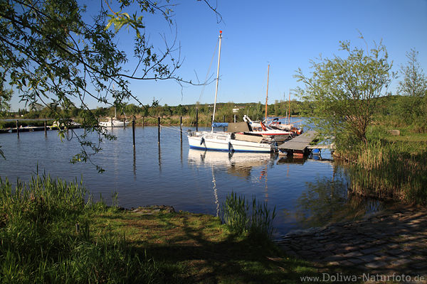 Elbe-Wasserbucht Rnne Boote Steg Lichtstimmung Marschacht Naturfoto