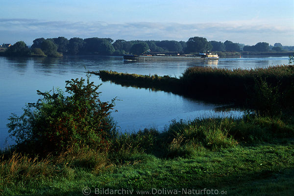 Elbe-Flussbarke Gterschiff in Elbwasser Naturufer in Morgenfrische