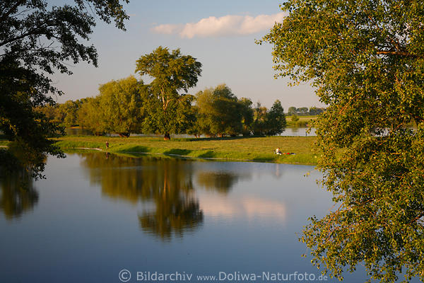Elbuferstille Naturidylle am Wasser Flulandschaft Alt-Garge mit Angler