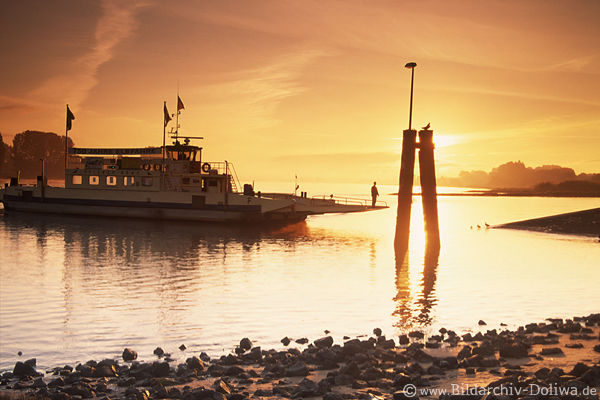 Elbe Sonnenaufgang Fhre Gegenlicht Flussfahrt Romantik-Bild Wasserufer Hoopte