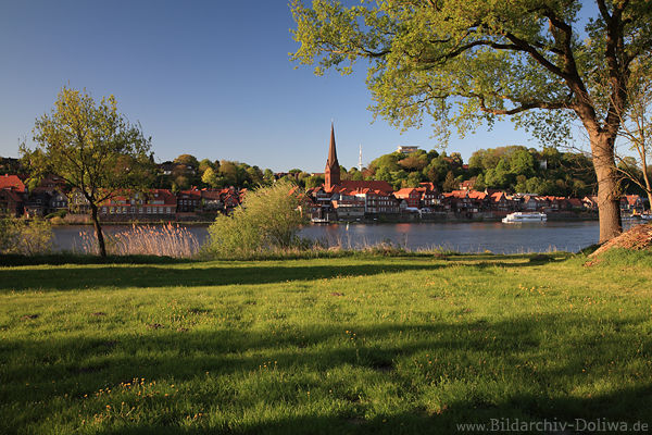 Elbpanorama Lauenburg-Altstadt Frhlingsgrn Wasserblick Abendlicht Naturstimmung