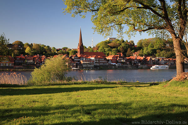 Lauenburgbild Elbe-Grnufer Frhling Abendlicht vor Altstadt Wasserblick Foto