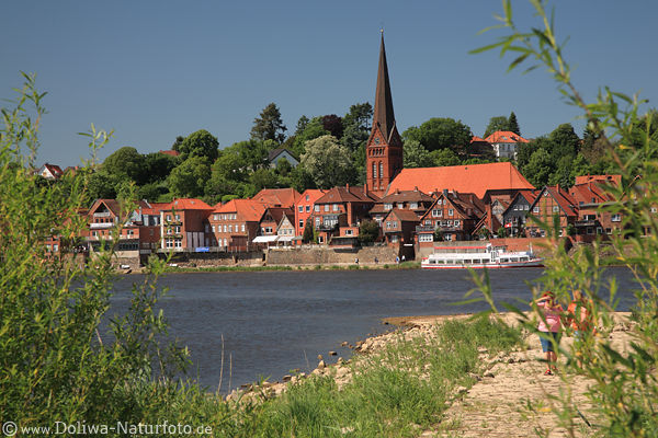 Elbe Flussufer Altstadt Lauenburg Skyline Wasserblick grne Frhlingsflora