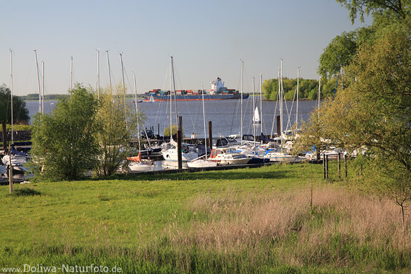 Neuenschleuse Wettern Elbe Containerschiff Flussfahrt Foto Yachthafen Grnufer Bild