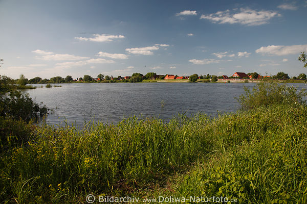 Elbe Flusslandschaft Stiepelse Wasserblick Grnufer Naturfoto weite Elbpanorama