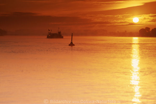 Elbe-Sonnenaufgang Rotwasser Fhre in Gegenlicht Romantik Nebelstimmung Naturbild