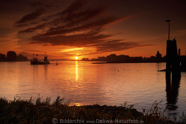 Elbe-Sonnenaufgang Wasser Fhre Stimmung romantische Flulandschaft