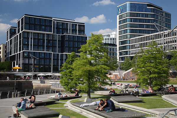 Elbparkterrassen HafenCity Hamburg Besucherbnke Grnbume in Glasarchitektur Skyline