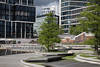 Elbterrassen Grasbrookhafen Hamburg Parkbnke Grnbume vor Glasarchitektur
