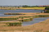 802636_Flachland Wasser Schilfufer Seelandschaft Foto, Avifauna, Vgel Beobachtungshtte