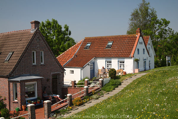 Deichhuser, Wohnidylle, Greetsiel, Sielstrae, Nordseekste, Ostfriesland, Frhling