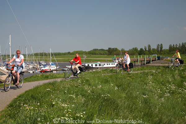 Greetsiel, Hafendeich Radler, Deichweg, Radfahrer, vier Frauen, Deichradweg, Kurve, Frhling Bild
