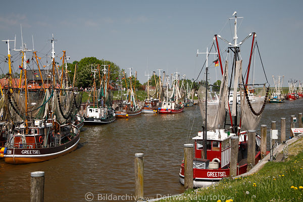 Krabbenflotte, Schiffe, Wasser, Hafenpanorama, Garnelenflotte, Krabbenkutter, Greetsiel Reisefotografie