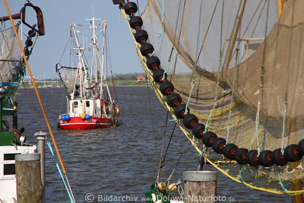 Krabbenkutter, Krabbenfang, Auslaufen auf See, Fangnetze, Greetsieler Hafen