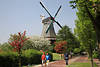 802554_Greetsiel Mhlenweg, Windmhlen Besucher, Bume Allee Frhlingsblte