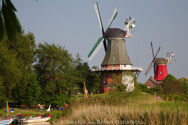 Windmhlen Zwillinge, Hollnder-Galeriemhlen, Greetsiel, Landschaftsfoto