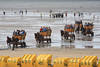 Kutschenkolonne Wattausflug Bild von Nordseestrand Cuxhaven Touristen