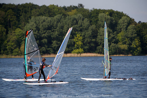 Surfschler Eutiner See Wassersurfer Windsurfing-Jugend Ostholstein Sportunterricht