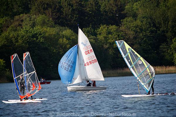 Eutiner See Wassersport-Bild Windsurfing Jugend Windsegeln in Ostholstein
