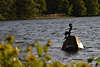 Malenter Seejungfrau Nymphe im Wasser von Dieksee Skulptur auf Stein in Bild