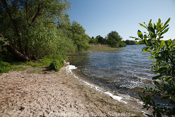 Preetz Badebucht Postsee Wasserufer Naturbild Schilf Wellen Sand in Ostholstein
