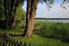 Rothenhusen Grnufer Ratzeburger See Bume Schilf Wasserblick Naturfoto