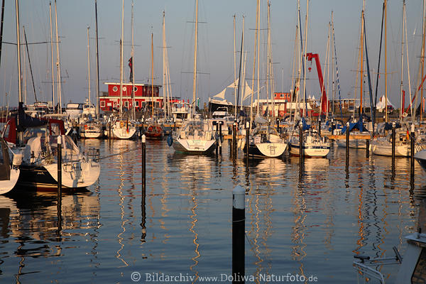 Damp Yachthafen in Segelboote Maste in Abendlicht Ostseewasser