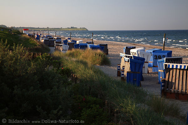 Ostseestrand Damp Kste Krbe Meerpanorama Wasserlandschaft