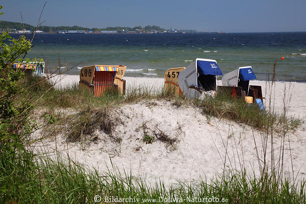 Meerstrand Krbe in Sandufer Wasser Landschaft Eckernfrde Bucht Naturidylle