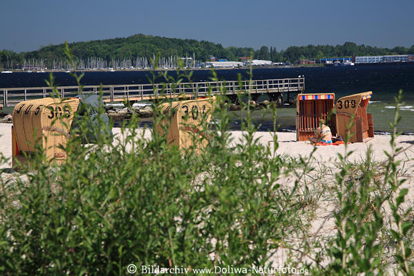 Eckernfrde Meerufer Naturstrand Grnstrucher Krbe im Sand Wassersteg Ostseepanorama