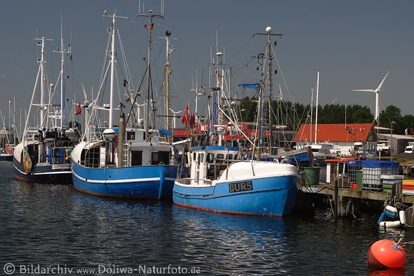 Fischkutter-Flotte am Hafenkai Burgstaaken Fehmarn Schiffe im Wasser