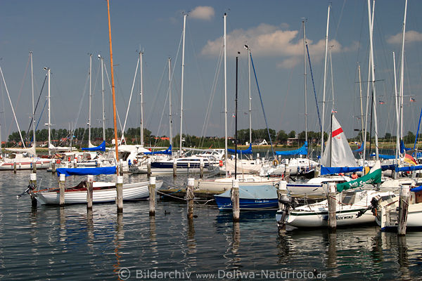 Binnensee Fehmarn Burgtiefe Yachten Boote in Wasser Urlaubsparadies der Segler & Windsurfer