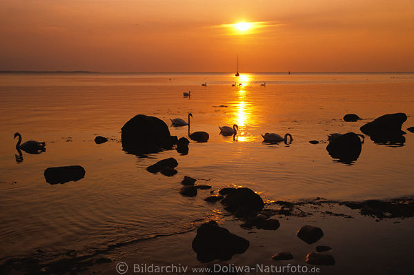 Meerstimmung Naturfoto Sonne ber Wasserlandschaft Ostseeinsel Poel Meerufer
