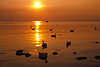 Sonne ber Meer-Wassertafel Ostsee Lichtkegel romantische Spiegelung Naturfoto Insel Poel