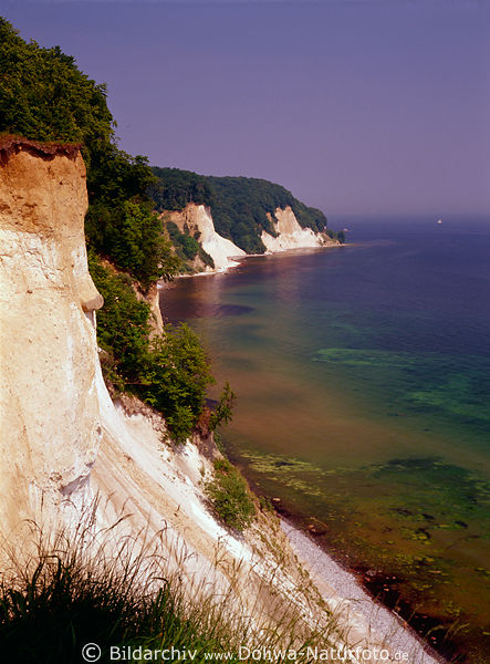 Kreidefelsen Steilufer Insel Rgen hohe Steilkste Naturbild Ostsee Meerblick