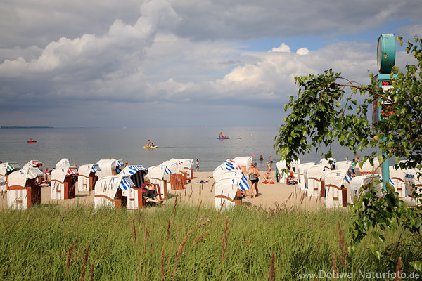 TimmendorferStrand Badestrand Gste Krbe grner Meerufer Wasser Ostsee Landschaft