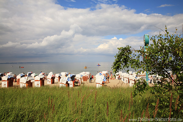 Timmendorfer Badestrand Krbe Wasser Landschaft Ostsee Urlaubsidylle grner Ufer