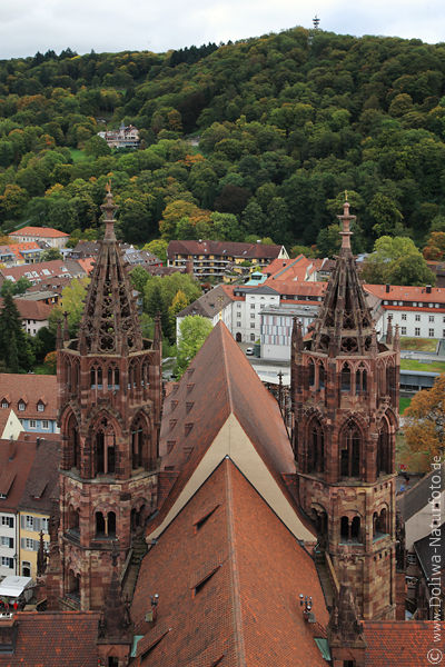 Freiburg Mnster Doppeltrme Schlossberg