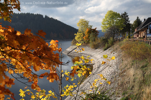 Seebrugg Ufer Landschaft Herbstbild von Schluchsee Bahnhof-Endstation in Schwarzwald
