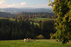 Khe Bergwiesen Tler Landschaft Hochschwarzwald mit Ohmenkapelle St.-Mrgen