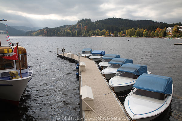 Titisee Wasser Landschaft Boote Steg in Schwarzwald-Bergsee